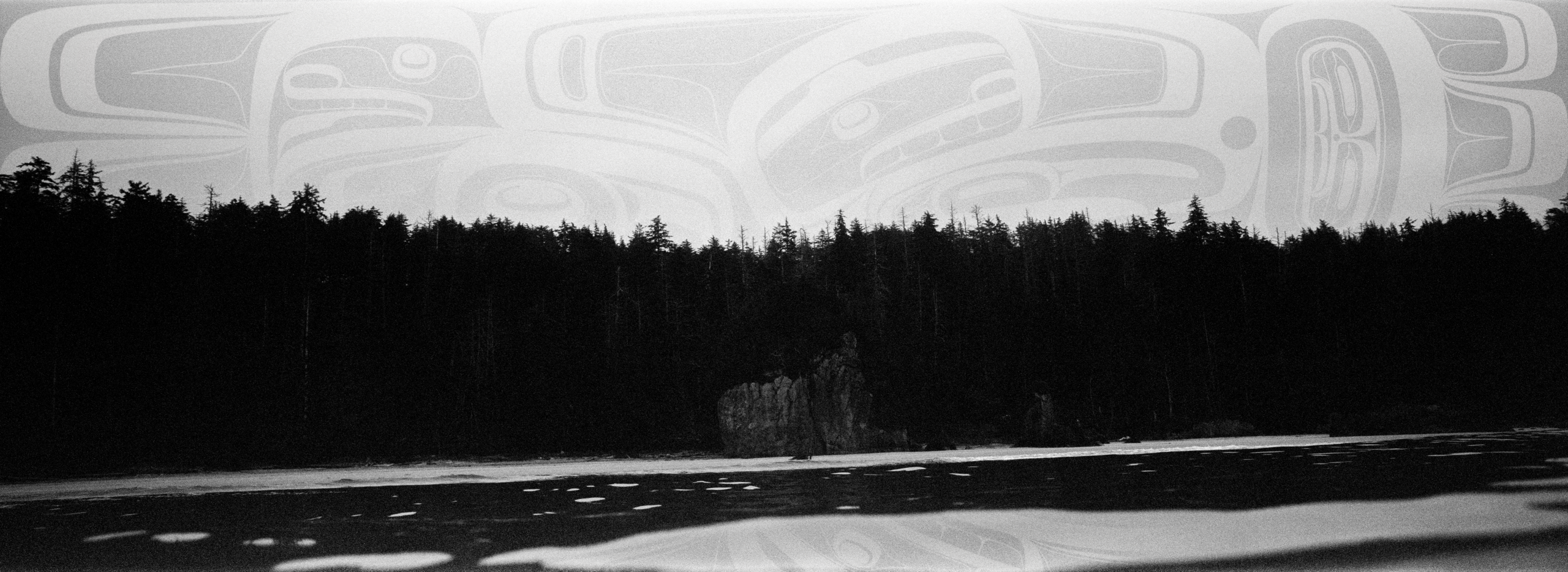 Thunderbird White